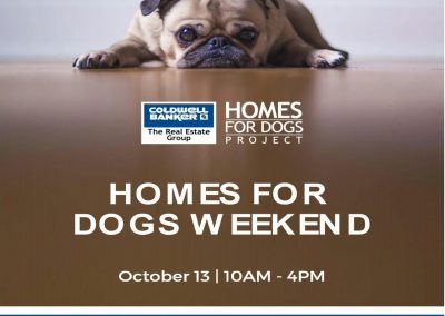 Homes For Dogs Weekend