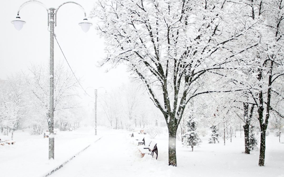 A Handy Guide to Keep Your Home (and You!) Safe in a Winter Storm
